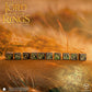 The Lord of the Rings: Rohan 10xD6 Dice Set (Preorder)