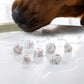 Dogs Dice Set: Charlie (Preorder)